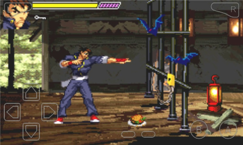 究极截拳道日语版