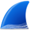 Wireshark