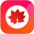红叶直播永久会员版