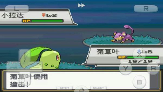 口袋妖怪金小霸王版