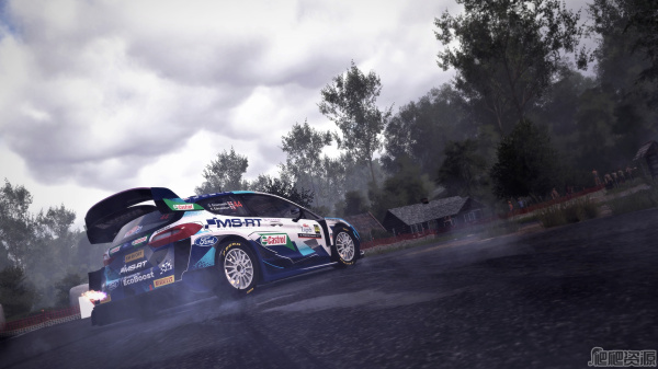 世界汽车拉力锦标赛10