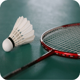 羽毛球之星游戏