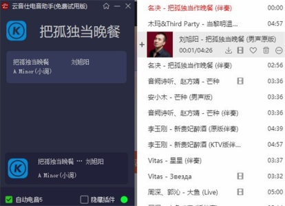 云音仕电音查询器