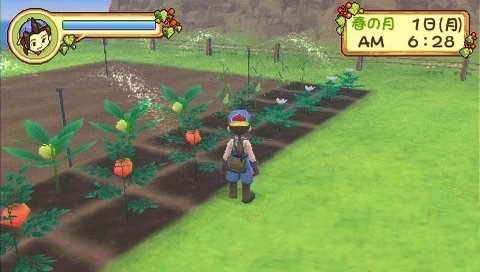 牧场物语蜜糖村与大家的心愿psp版