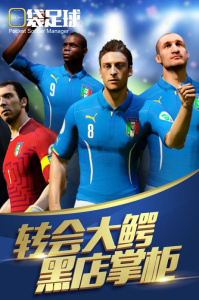 口袋足球变态版