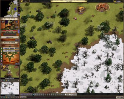 王权：黄金高清版