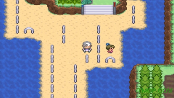 口袋妖怪生与死游戏