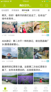 青白江论坛手机版