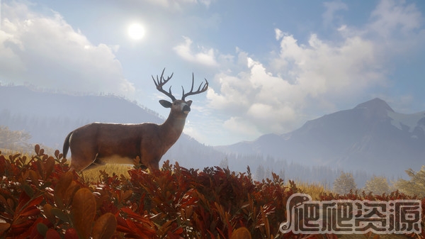 猎人：野性的呼唤