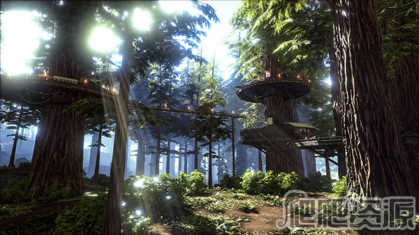 方舟：生存进化