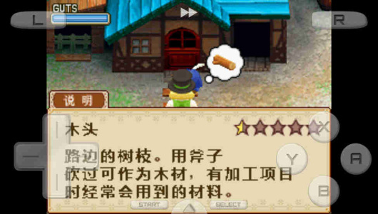 牧场物语风之集市nds版