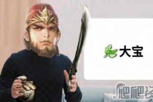 《三国杀》犯大吴疆土者梗什么意思