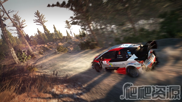 世界汽车拉力锦标赛8