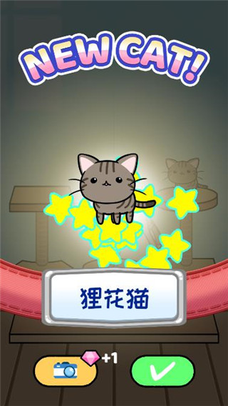 猫咪公寓2公测版