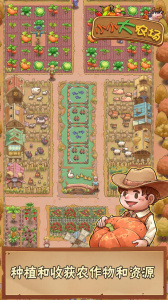 小小大农场手游