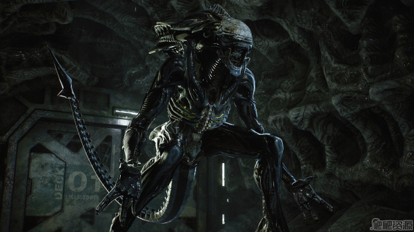 异形：火力小队