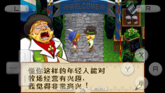 牧场物语风之集市nds版