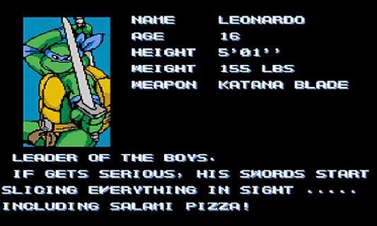 忍者神龟怀旧版