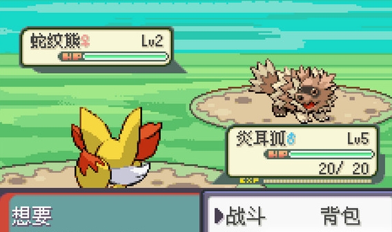 口袋妖怪永恒之沫3.0