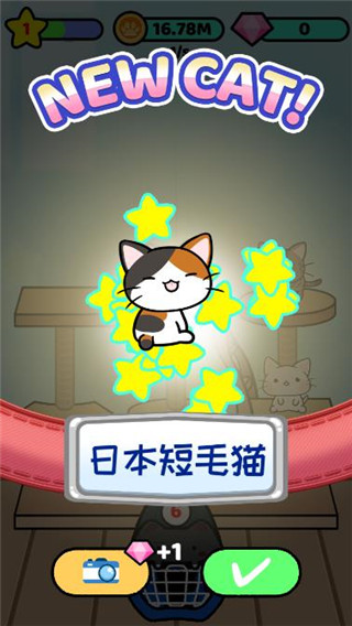 猫咪公寓2公测版