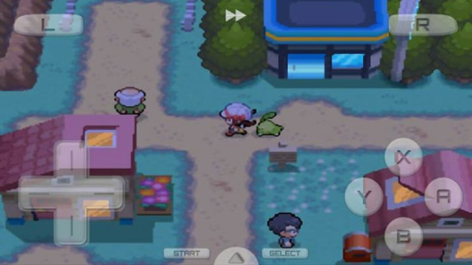 口袋妖怪心金nds版