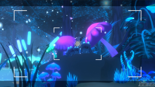 马拉维拉岛的奇禽异兽