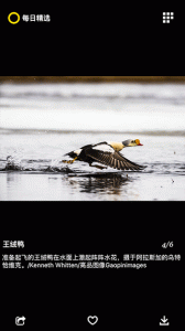 国家地理每日精选官方版