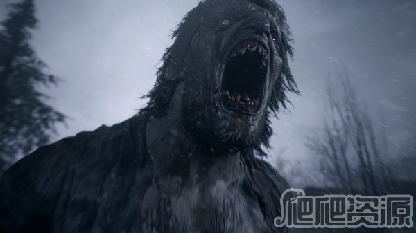 生化危机8：村庄