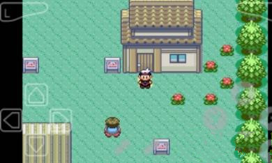 口袋妖怪蓝宝石(怪兽图鉴)