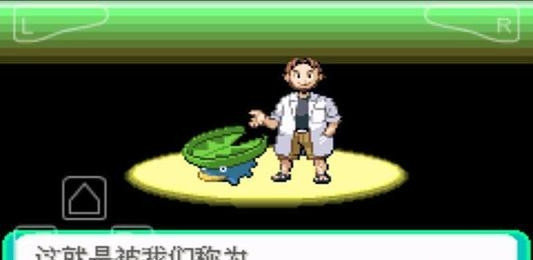 口袋妖怪绿宝石最初版