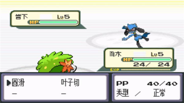 口袋妖怪噩梦的插曲珍藏版