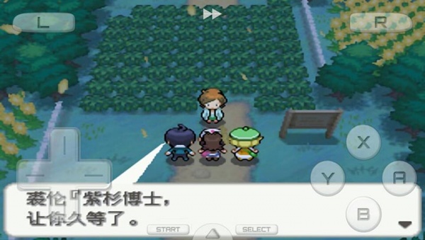 口袋妖怪爆焰黑mega版