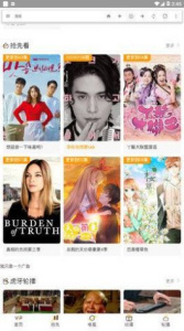 飞飞影视绿色版