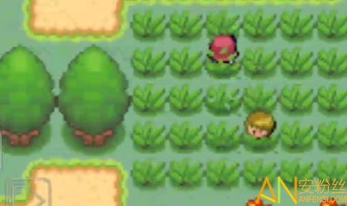 口袋妖怪超透黑2 2.5版