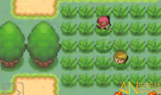 口袋妖怪超透黑2 2.5版