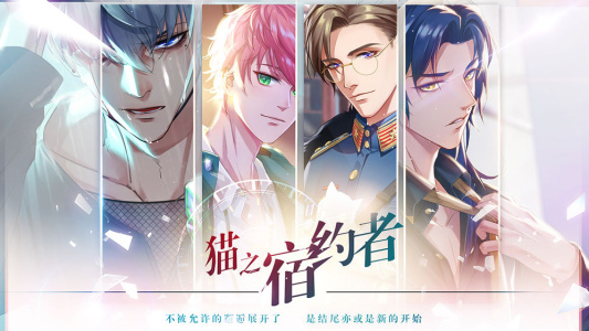 猫之宿约者b服