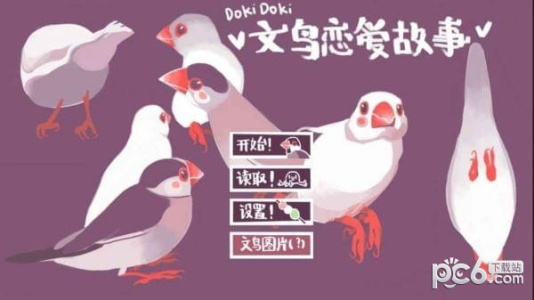 咕啾文鸟恋爱物语九游版