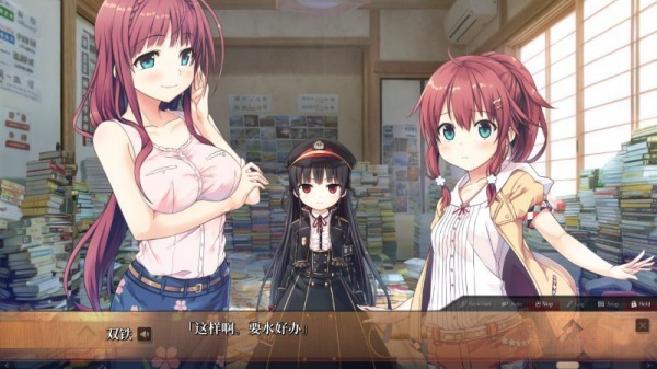 爱上火车Last Run全存档版