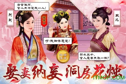 小宝当皇帝华为版