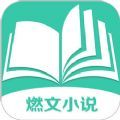 燃文小说无弹窗版