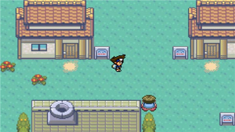 口袋妖怪数码宝贝06版