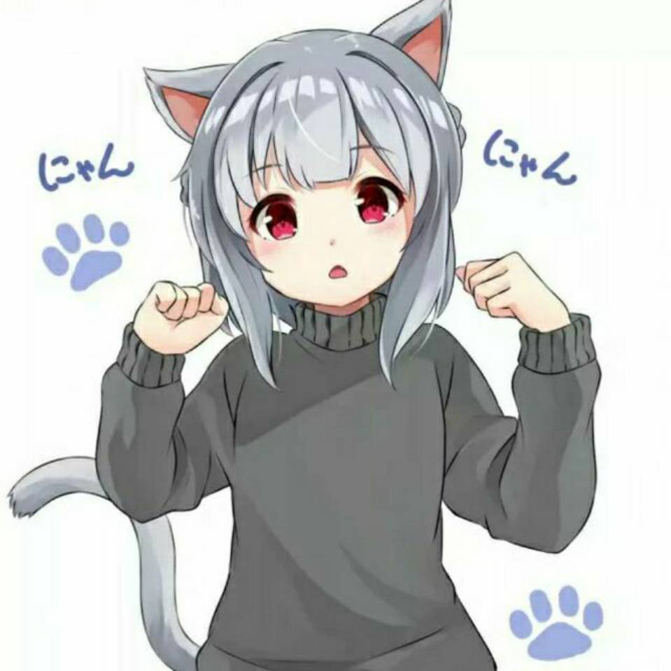 冷狐宝库vip账号分享版