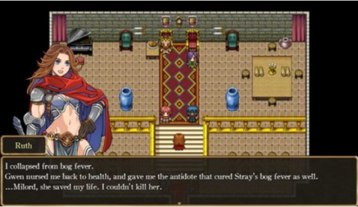 骑士有仙妻中文版