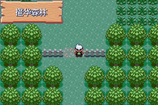 口袋妖怪究极绿宝石普通版