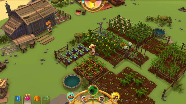 落难航船：诅咒之岛的探险者