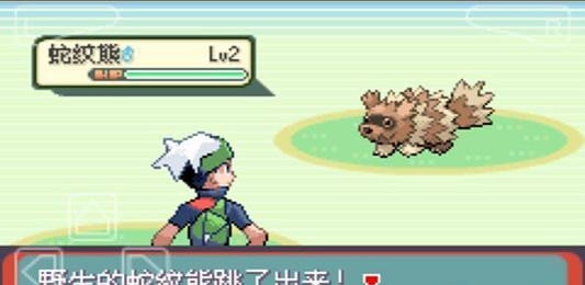 口袋妖怪绿宝石最初版