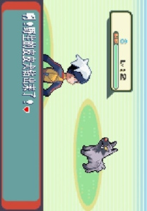 口袋妖怪红宝石95版