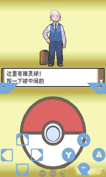 口袋妖怪黑nds版