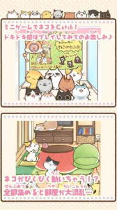 滑动猫咪美喵之时