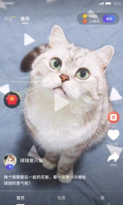 奶茶短视频2024版